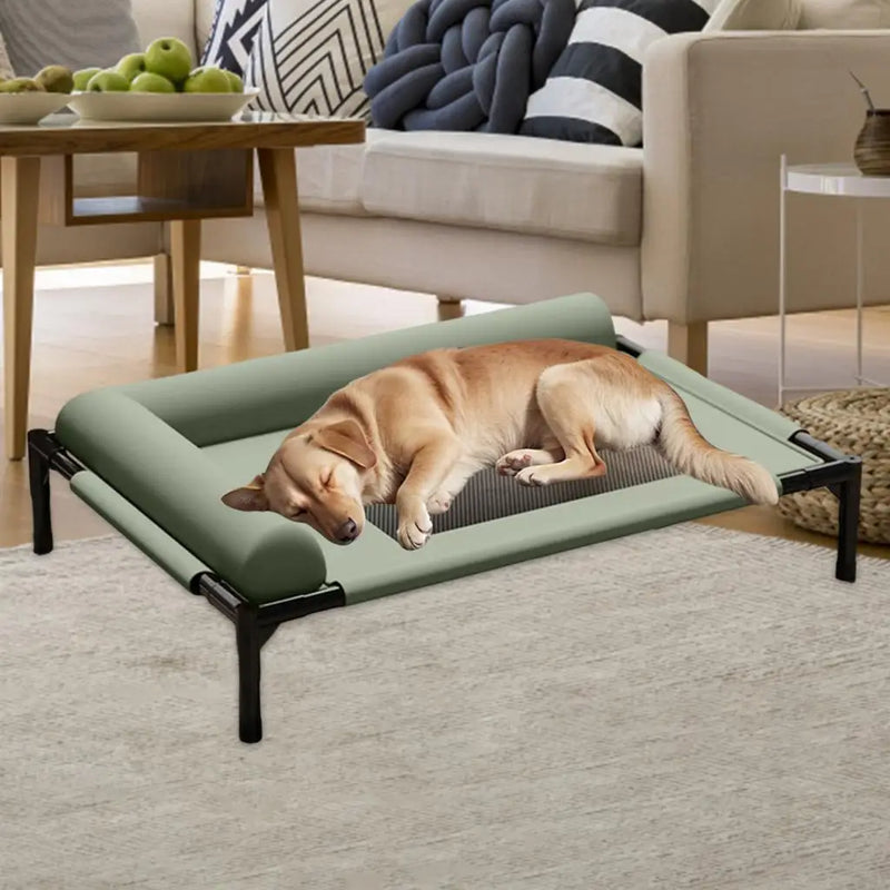 Elevated Pet Bed Durability Practical with Pillow for Small Pets