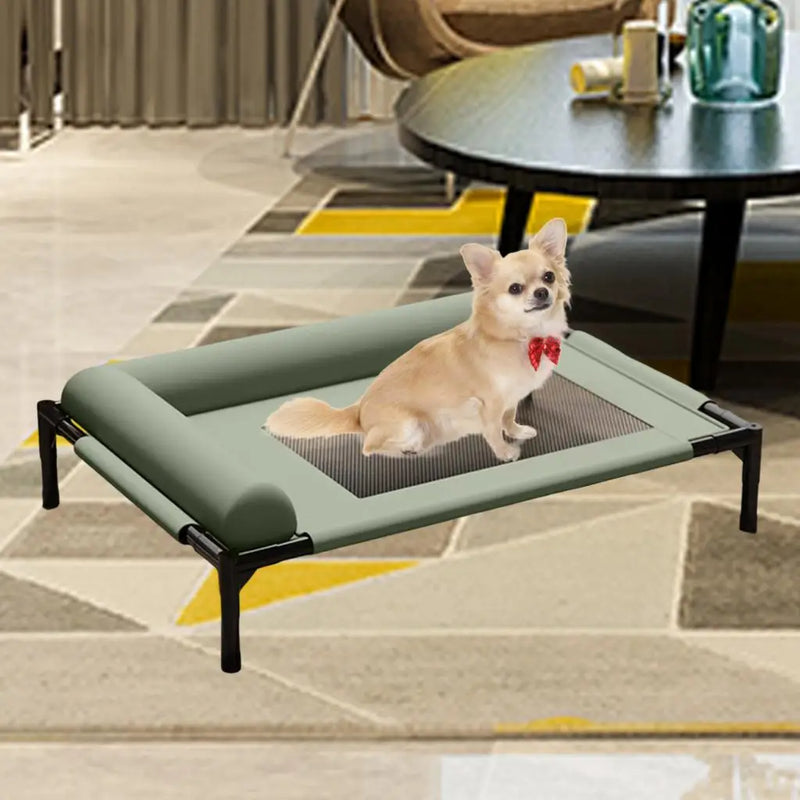 Elevated Pet Bed Durability Practical with Pillow for Small Pets